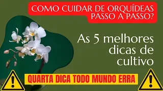 Como Cuidar de Orquídeas Passo a Passo ? 5 Dicas de Como Cuidar de Orquídeas.