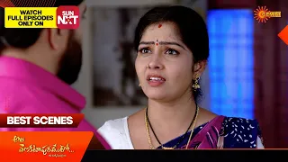 Ala Venkatapuramlo - Best Scenes | 18 Jan 2024 | Gemini TV | Telugu Serial