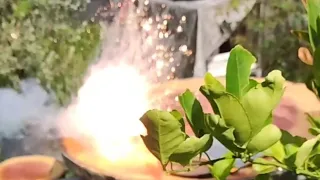 Fire Cracker Slow Motion