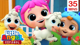 ¡Encontramos un Adorable Corderito! 🐑 💛 | Canciones Infantiles de Bebé Juan | Little Angel Español