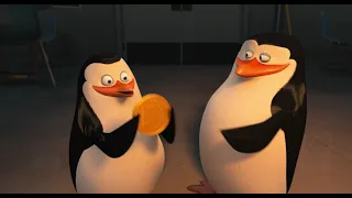 З днем народження, Шибенику! - Пінгвіни Мадагаскару (Penguins of Madagascar) 2014 рік