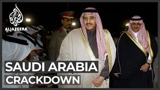 Saudi crackdown: King Salman's brother and nephew detained