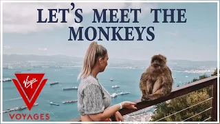Top Of The Rock In Gibraltar. Seeing the Monkeys.