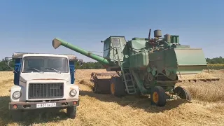 Убираем "шабашку" комбайном СК - 5 Нива.