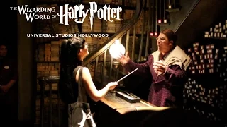 The Wand Chose Me!! Wizarding World of Harry Potter