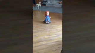 Chucky riding freely on a tricycle...NOPE!