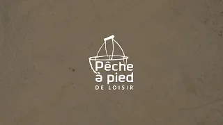 Quelques bonnes pratiques de pêche à pied : la palourde