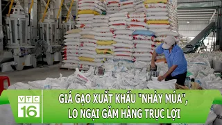 Cơn sốt gạo lịch sử, giá gạo xuất khẩu "nhảy múa", lo ngại găm hàng trục lợi | VTC16