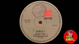 Wonderland - Donkey (Raregroove, Garage-Rock, Brazil 1971)