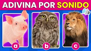 Adivina el Animal por el Sonido 🦁🔊🐷 | Quiz de Animales | Adivina los Animales ✅