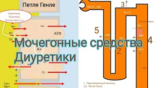 Фармакология лекции. Мочегонные средства(Диуретики)