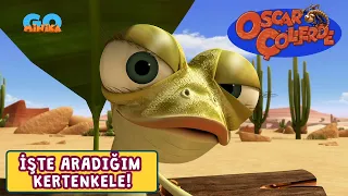 Oscar Çöllerde 🦎 | İşte Aradığım Kertenkele! 😍   ​| Minika