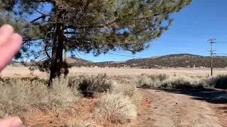 A quick look around Baldwin Lake