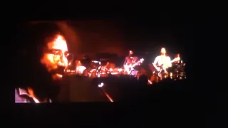 Johnny B Goode  GRATEFUL DEAD 1971