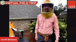 Virtual Field Trip - Honeybees