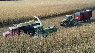 Chopping Corn Silage