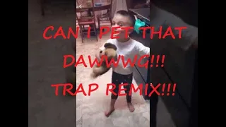 Can I Pet That Dog?!? - TRAP REMIX! (With Dancing Dogs!)