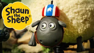 Shirley Whirley | Shaun the Sheep | S2 Full Episodes