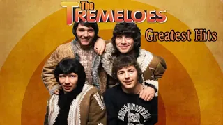 The Tremeloes Greatest Hits Collection- Best Of The Tremeloes