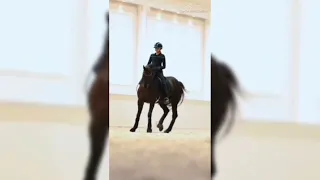 Horse Edits♡︎