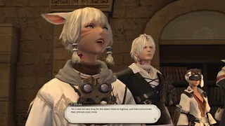 FFXIV ENG Voice Changes