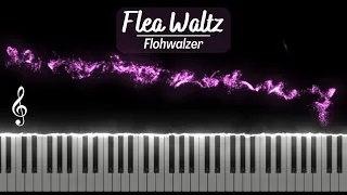 Flea Waltz - Flohwalzer Piano (EASY)