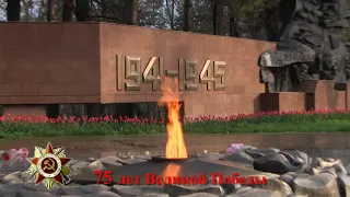 9 МАЯ 2020 поздравление для ветеранов с 75 летием празднования Великой Победы.