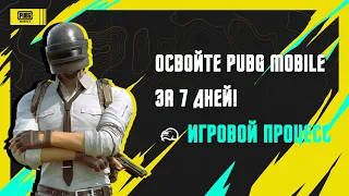 PUBG MOBILE | Освойте игру за 7 дней!