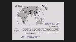 Estructura genómica de la población mexicana