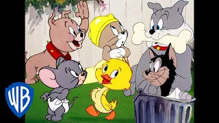 Tom y Jerry en Español 🇪🇸 | Todos menos Tom y Jerry | WB Kids