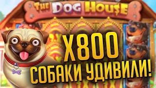 ВЕРНУЛСЯ В СТАРЫХ ДОБРЫХ СОБАК И КАК ОБЫЧНО ЛОВЛЮ ДИКИЕ ЗАНОСЫ В DOGHOUSE!