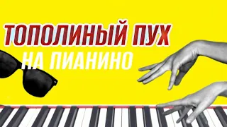 Тополиный пух (piano cover) 🎹