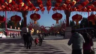 Beijing's park festivals bring colour to Chinese New Year