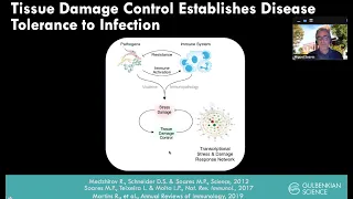 The iron age of disease tolerance to infection by Dr. Miguel Soares