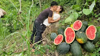 Picking Watermelons, Selling Them At The Market To Earn Money, Daily Life On The Farm- Lý Thị Nhâm