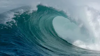 Honolua Bay Surfing Maui, Hawaii January 14, 2021 (RAW CLIPS) (4K)