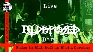 Live ILLDISPOSED (Dark) 2023 - Baden in Blut, Weil am Rhein, Germany, 22 Jul