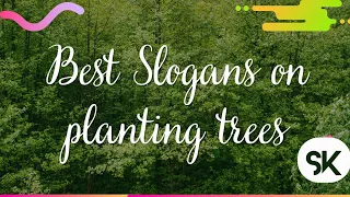 5 Amazing slogans on planting trees that you want to know very important slogans