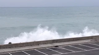 花蓮臨海的遠雄海洋公園 In the Pacific side of Hualien Farglory Ocean Park