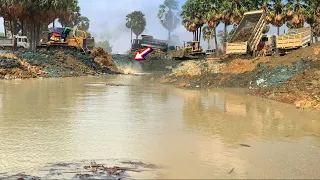 D68E, D60and15 tons of clearing lake.[Bulldozers Truck Sso]