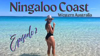 Ningaloo Coast Episode 2 | Osprey Bay | Whaleshark Dive | Cape Range National Park | Turquoise Bay