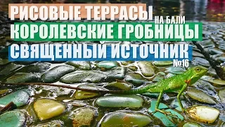 Рисовые террасы Бали.Королевские гробницы. Храм Тирта Эмпул | Движение - Жизнь, №16