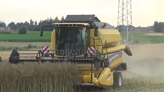 Pierwsi we wsi !😮 Czyli Żniwa Rzepaku na Lubelszczyźnie 😍