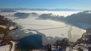4K Lake in winter mood Zürich SWITZERLAND スイス