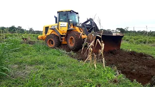 HOJE QUASE FICOU ATOLADA A JCB 426ZX, DEPOIS FOMOS AO CAREGAMENTO DE TERRA