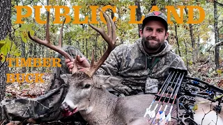 MISSOURI PUBLIC LAND BIG TIMBER BUCK!!!!