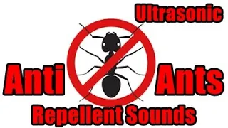 Anti Ants Repellent Sounds - Sound To Repel Ants  #ChaseAntsAway #AntiAnts