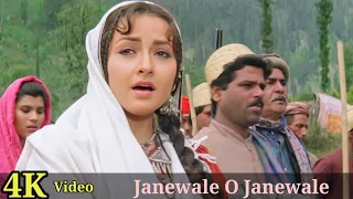 Janewale O Janewale 4K Video Song | Henna | Rishi Kapoor, Zeba Bakhtiar, Lata Mangeshkar HD