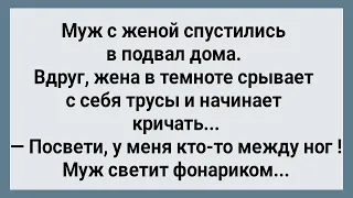 Муж с Женой Спустились в Подвал! Сборник Веселых Анекдотов! Юмор!