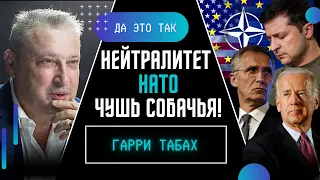 ТАБАХ: Они боятся, что Украина победит! / ДА ЭТО ТАК